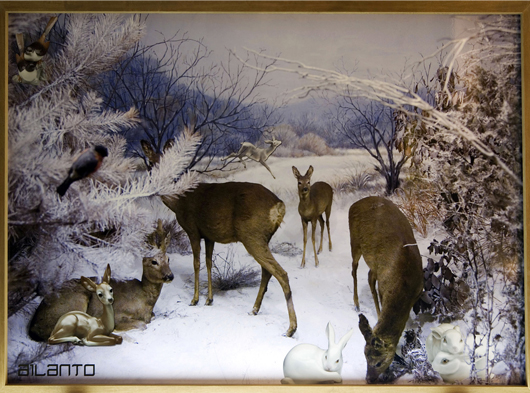 boutique Barcelona 5