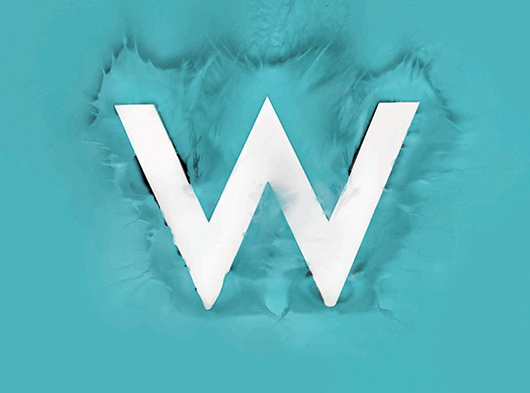 WET®Deck Opening season